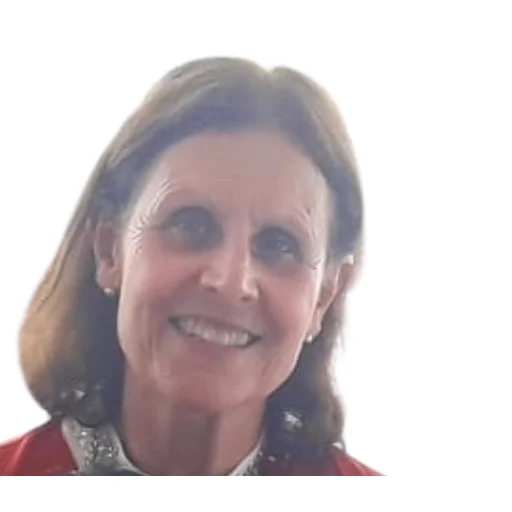 Dr. Luisa Maria Arvide Cambra